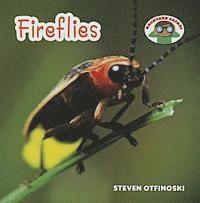 Steven Otfinoski - Fireflies, Häftad. Tillgänglighet: Tillfälligt slut