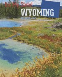 bokomslag Wyoming: The Equality State