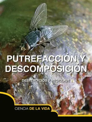 Sarah Levete - Putrefacción y descomposición, Häftad. Tillgänglighet: Lägg i varukorg