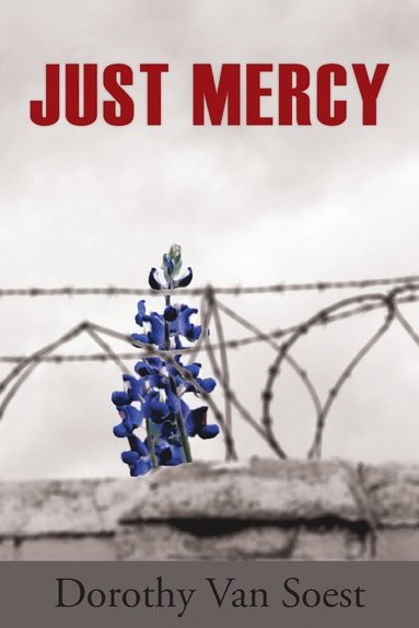 bokomslag Just Mercy
