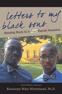 bokomslag Letters to My Black Sons