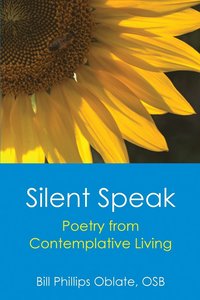 bokomslag Silent Speak