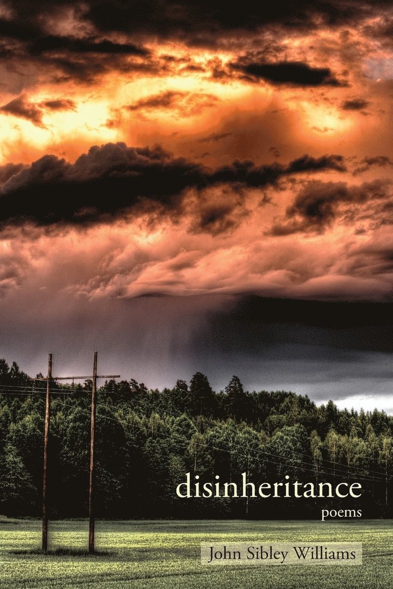 Disinheritance 1
