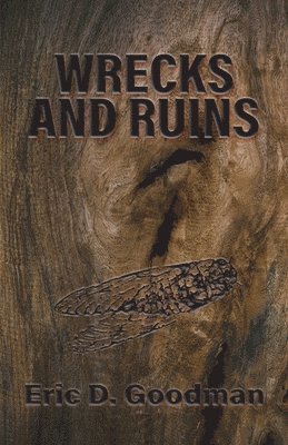 Eric D Goodman, Eric D. Goodman, D. Goodman, Eric - Wrecks and Ruins, Häftad
