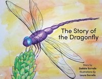 bokomslag The Story of the Dragonfly