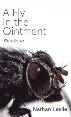 bokomslag Fly in the Ointment