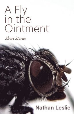 A Fly in the Ointment 1