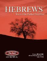 bokomslag Hebrews Jesus: Our Perfect Sacrifice