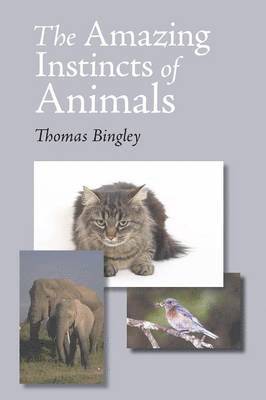 Thomas Bingley - Amazing Instinct of Animals, Häftad