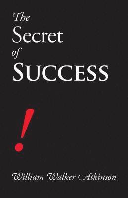 bokomslag The Secret of Success