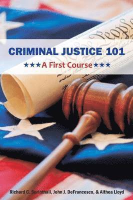 bokomslag Criminal Justice 101