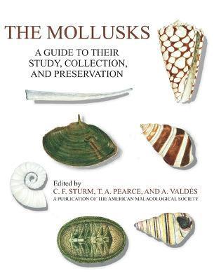 C F Sturm, T a Pearce, A Valdes, C. F. Sturm, T. a. Pearce, T. A. Pearce, A. Valdes - Mollusks, Inbunden