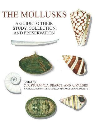 The Mollusks 1