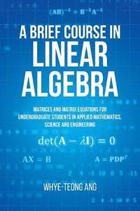 bokomslag A Brief Course in Linear Algebra