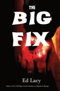 bokomslag Big Fix