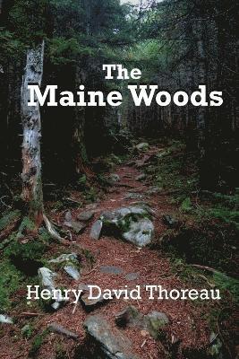 Maine Woods