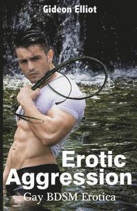bokomslag Erotic Aggression: Gay BDSM Erotica