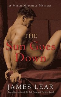 bokomslag Sun Goes Down: A Mitch Mitchell Mystery