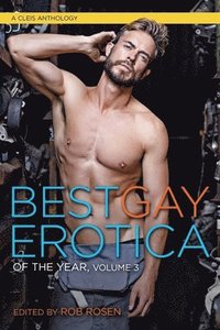 bokomslag Best Gay Erotica of the Year, Volume 3