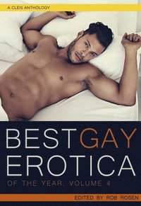 bokomslag The Best Gay Erotica of the Year, Volume 4