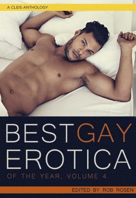 The Best Gay Erotica of the Year, Volume 4 1