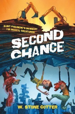 bokomslag Second Chance
