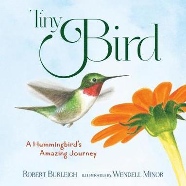 Robert Burleigh - Tiny Bird, Inbunden