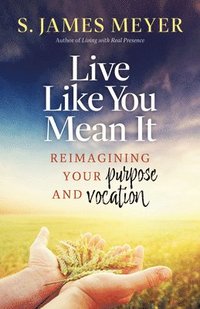 bokomslag Live Like You Mean It: Reimagining Purpose and Vocation