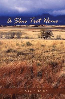 bokomslag Slow Trot Home