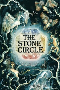 bokomslag The Stone Circle