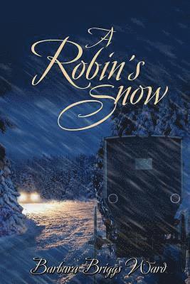 bokomslag Robin's Snow