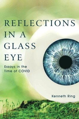bokomslag Reflections in a Glass Eye