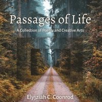 bokomslag Passages of Life