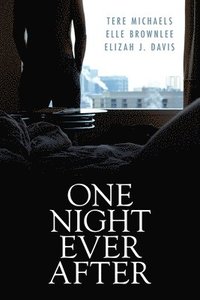 bokomslag One Night Ever After