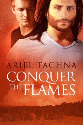 Conquer the Flames Volume 4 1