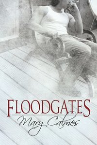 bokomslag Floodgates