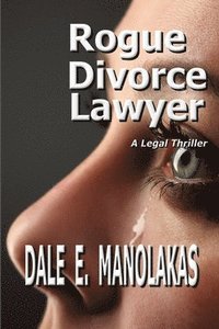 bokomslag Rogue Divorce Lawyer