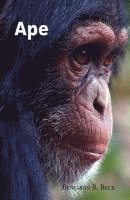 Ape 1