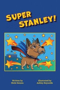 bokomslag Super Stanley