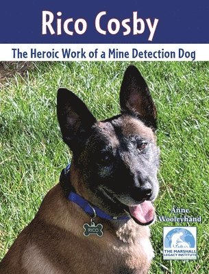 Rico Cosby: The Heroic Work of a Mine Detection Dog 1