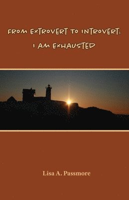 bokomslag From Extrovert to Introvert