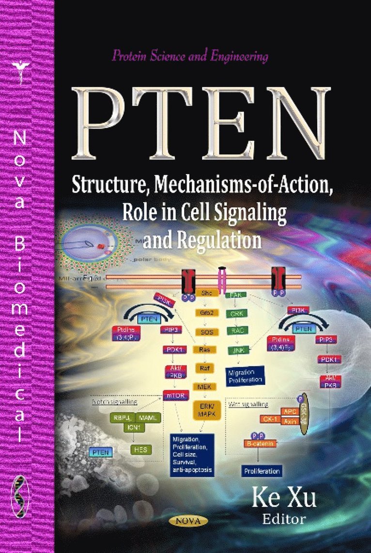 PTEN