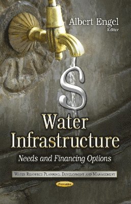 bokomslag Water Infrastructure