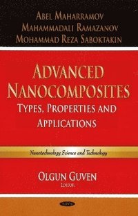 bokomslag Advanced Nanocomposites