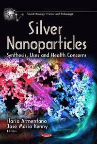 bokomslag Silver Nanoparticles