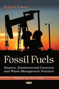 bokomslag Fossil Fuels