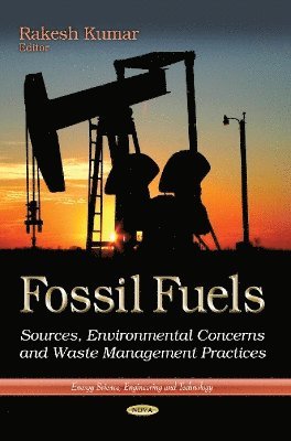 bokomslag Fossil Fuels