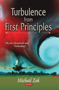 bokomslag Turbulence from First Principles