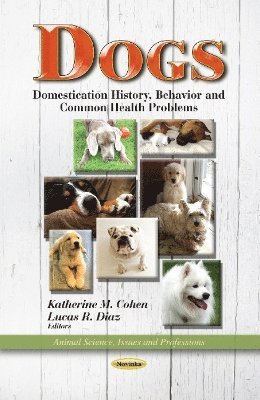 bokomslag Dogs