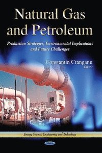 bokomslag Natural Gas & Petroleum
